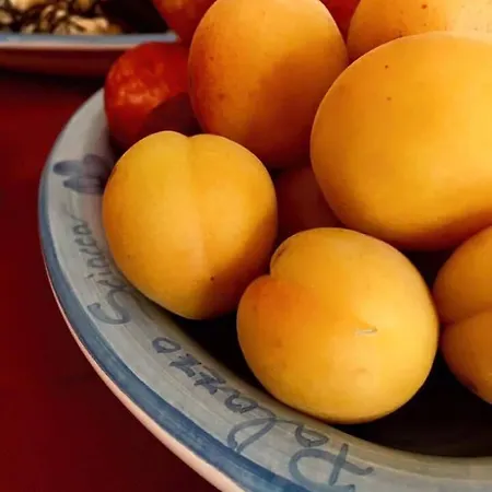 Palazzo Sciacca Frühstückspension